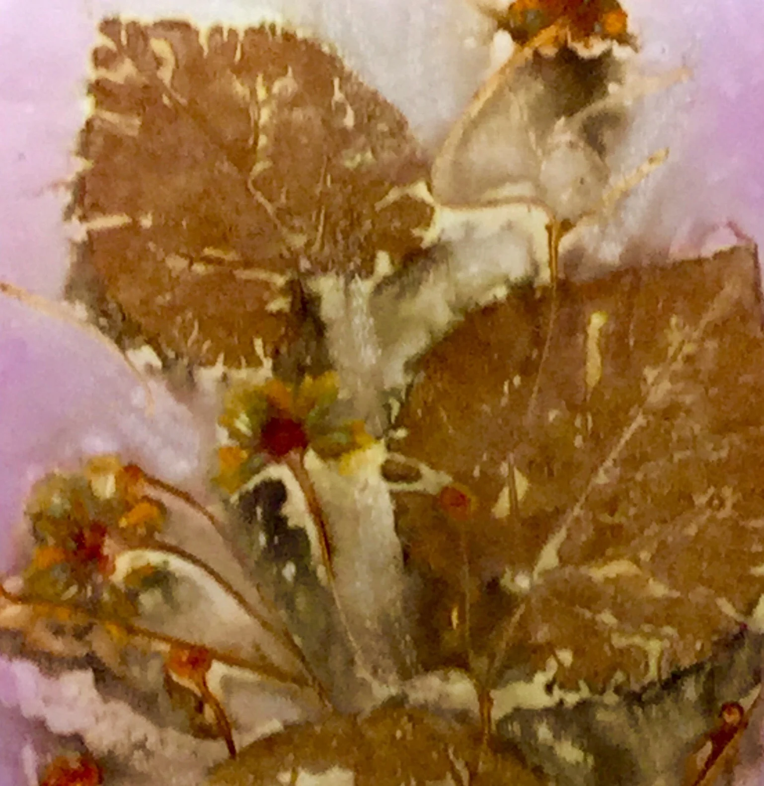 Ecoprint onto Paper Workshop with Caroline Nixon