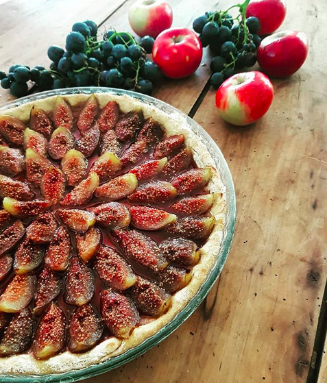 Clos Mirabel - Fig Tarte.png