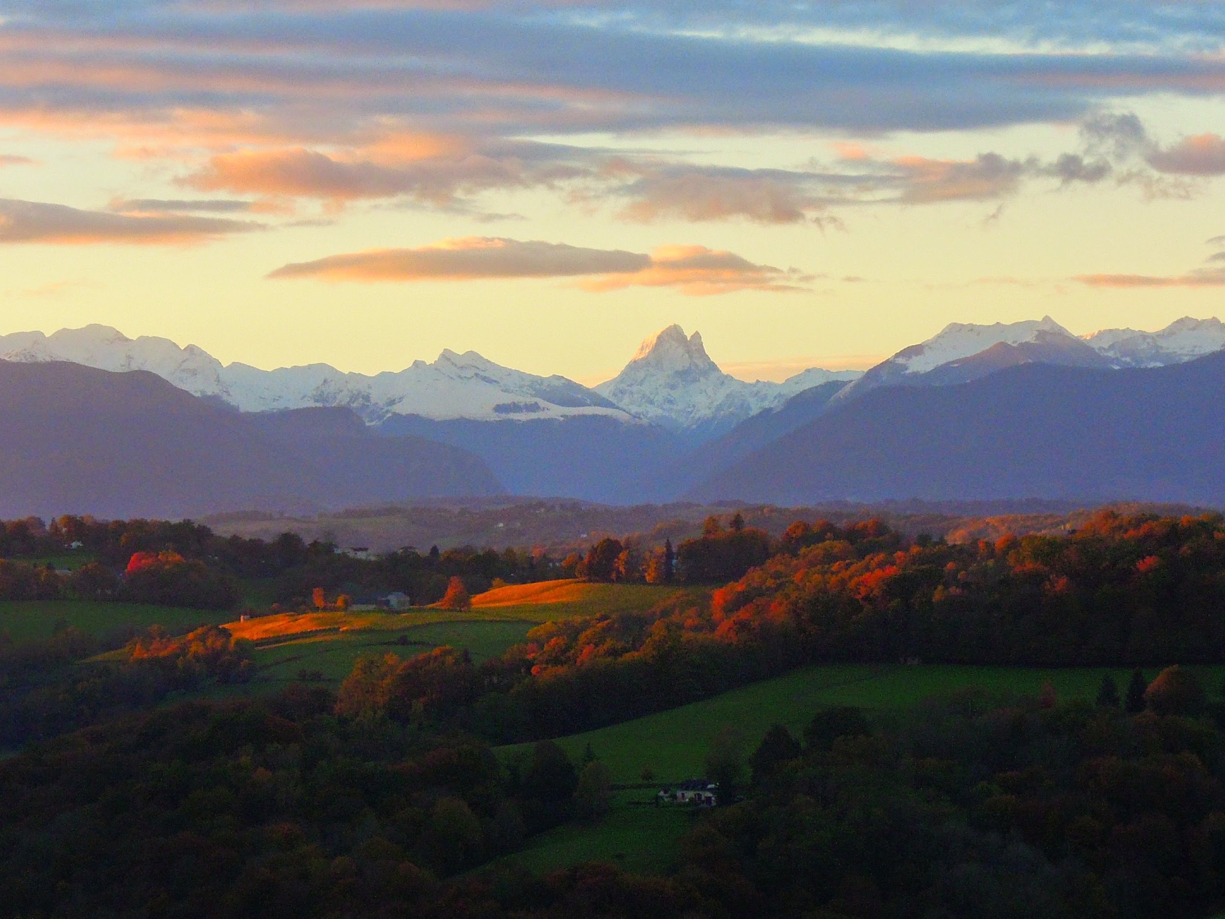 Winter down at Clos Mirabel.jpg