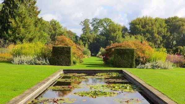 pond.jpeg