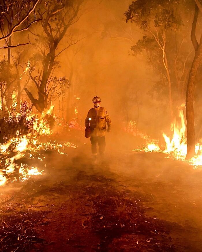 australia-fires-photos-15-5e12e84e20daf__700.jpg