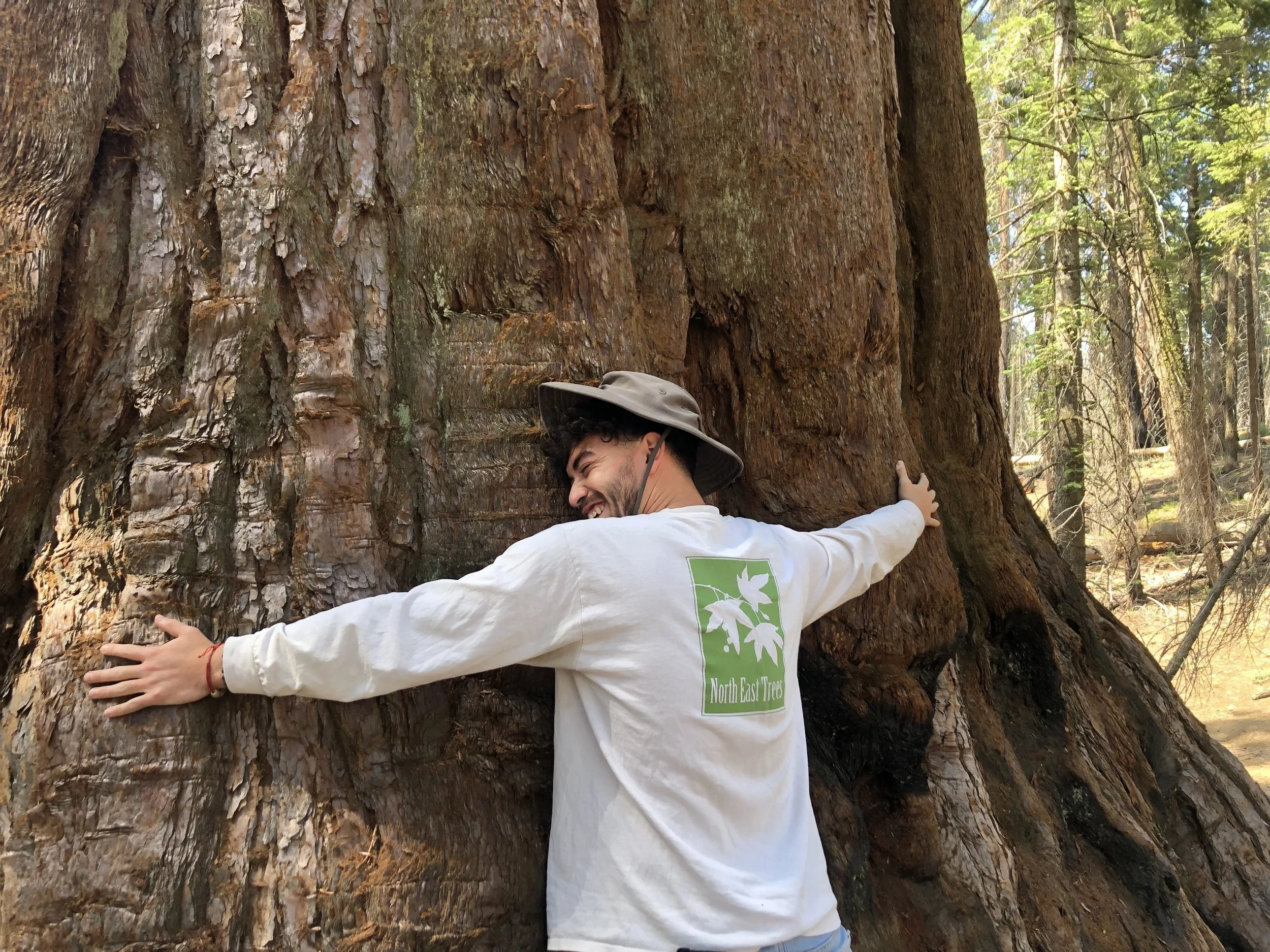 North East Trees