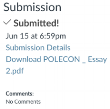 [Due on June 15 at 7:00 pm