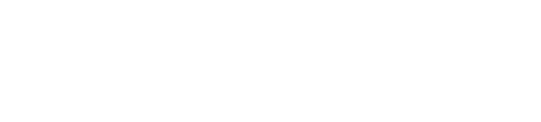 Logo_white.png