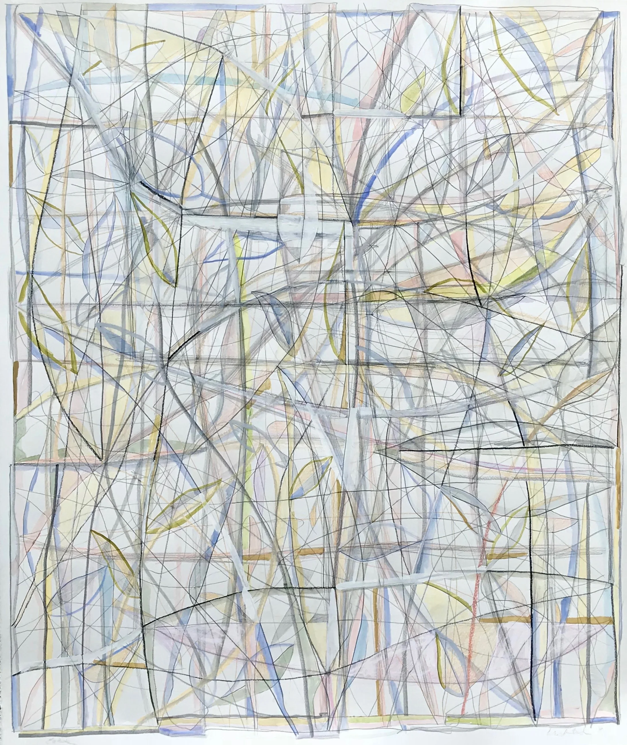 Entwined. 2018. 45 x 38 in., graphite, ink, chalk, colored pencil, gesso and water color