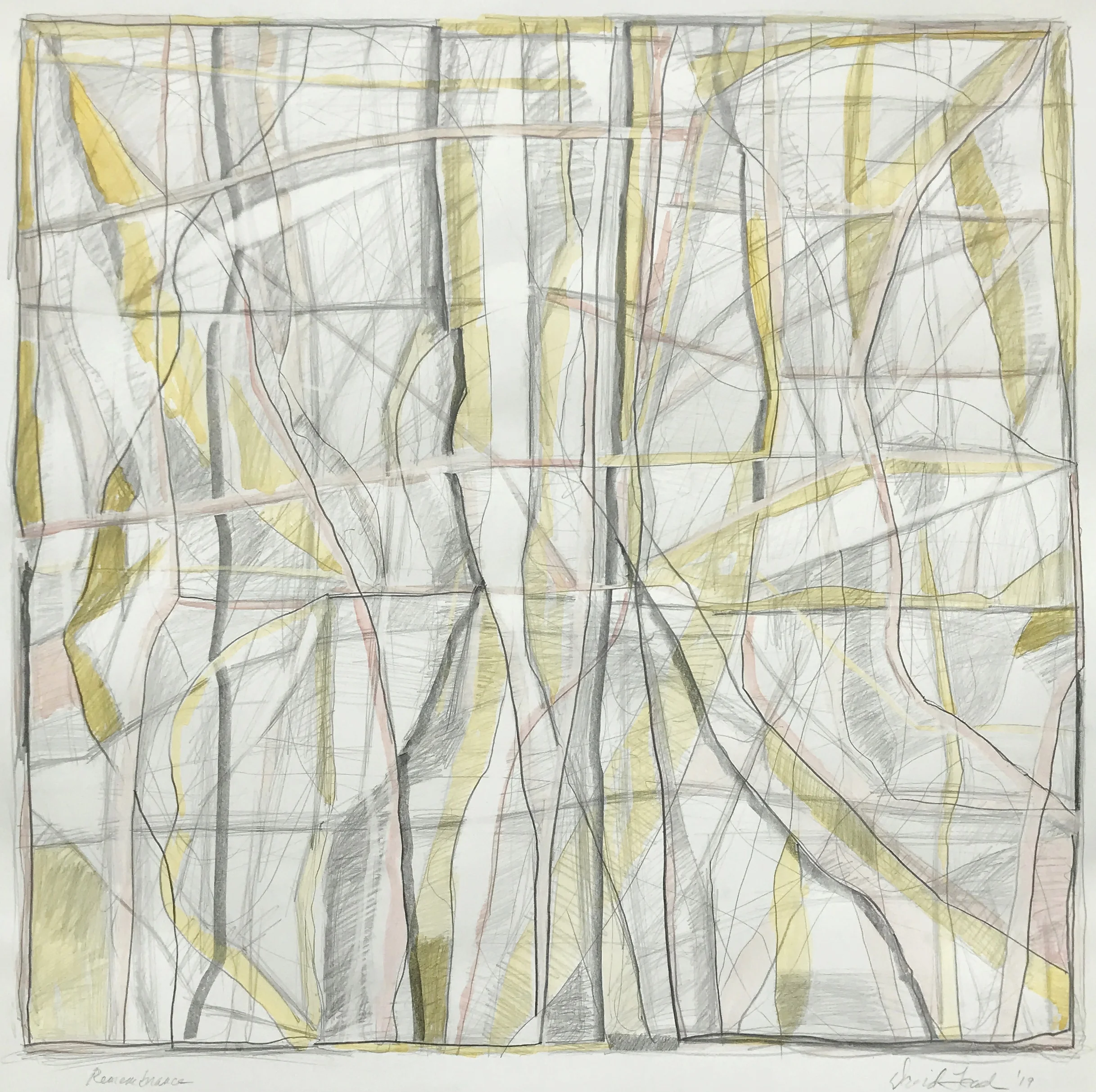 Remembrance. 2019. 20 x 20 1/2 in., graphite and water color