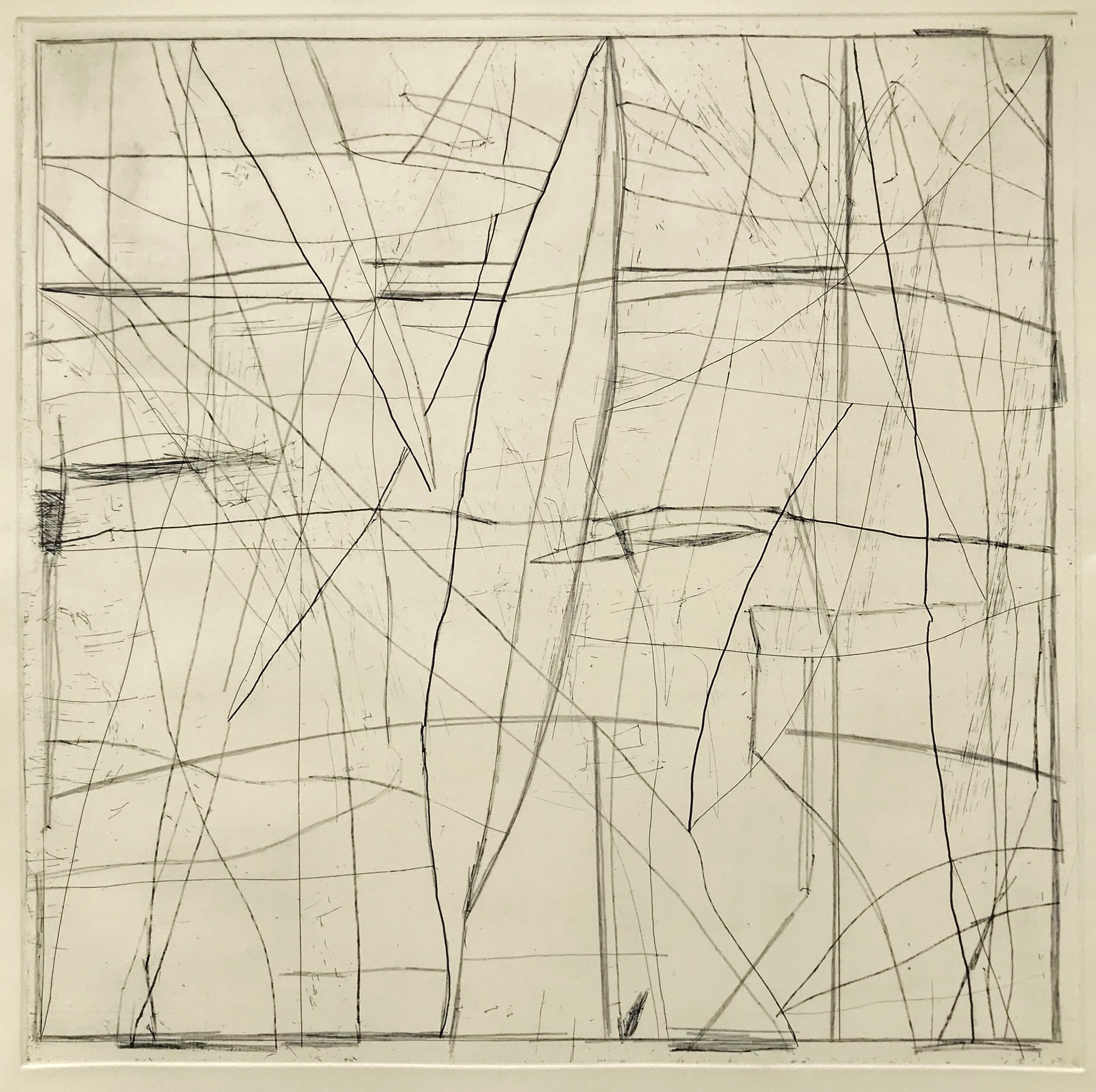 Feather, 1st state. 2019. AP. 24 x 24 in., intaglio