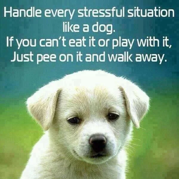 Stressed? So What?