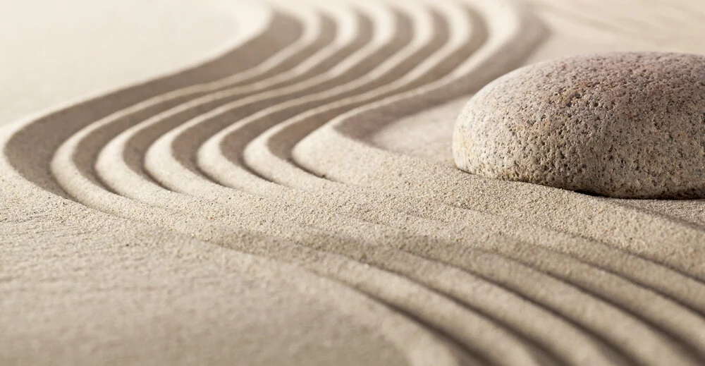 Stillness brought me gifts