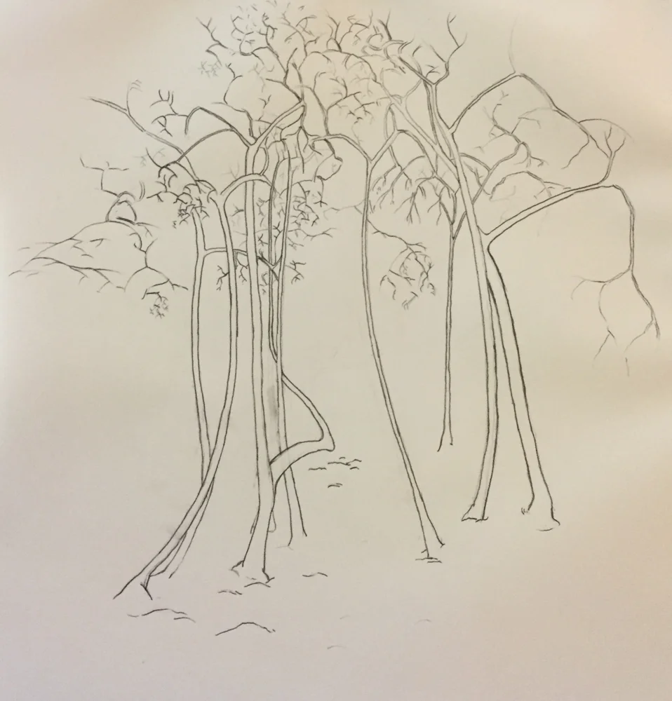 grove.jpg