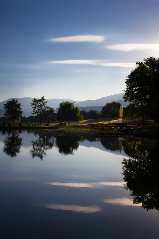 lgbuddhapond.jpg