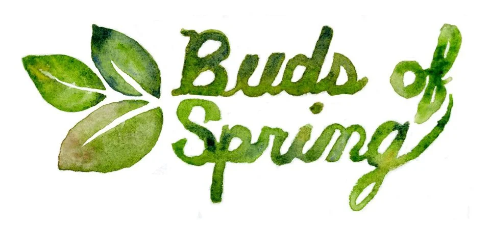 Buds of Spring.jpg