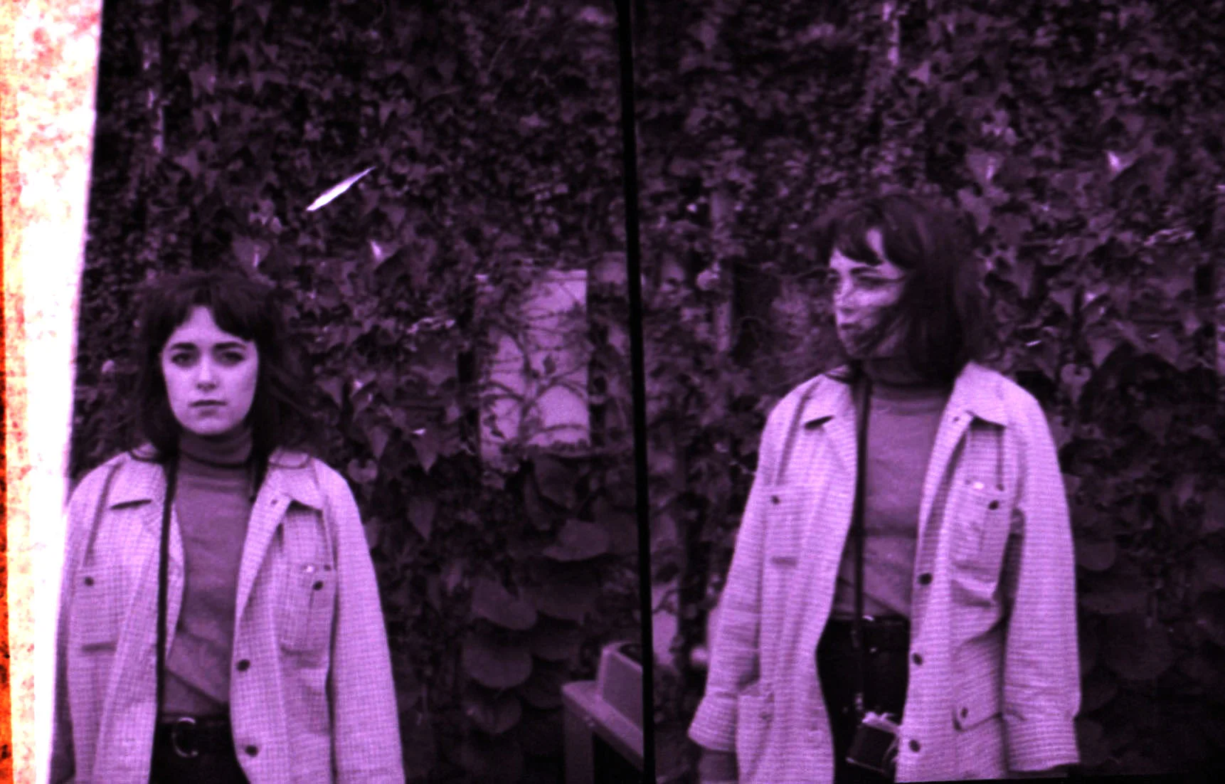 3 copy 2.jpg