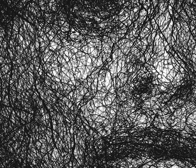 Cropped detail of intaglio print, "Tracings", Amanda Clyne
