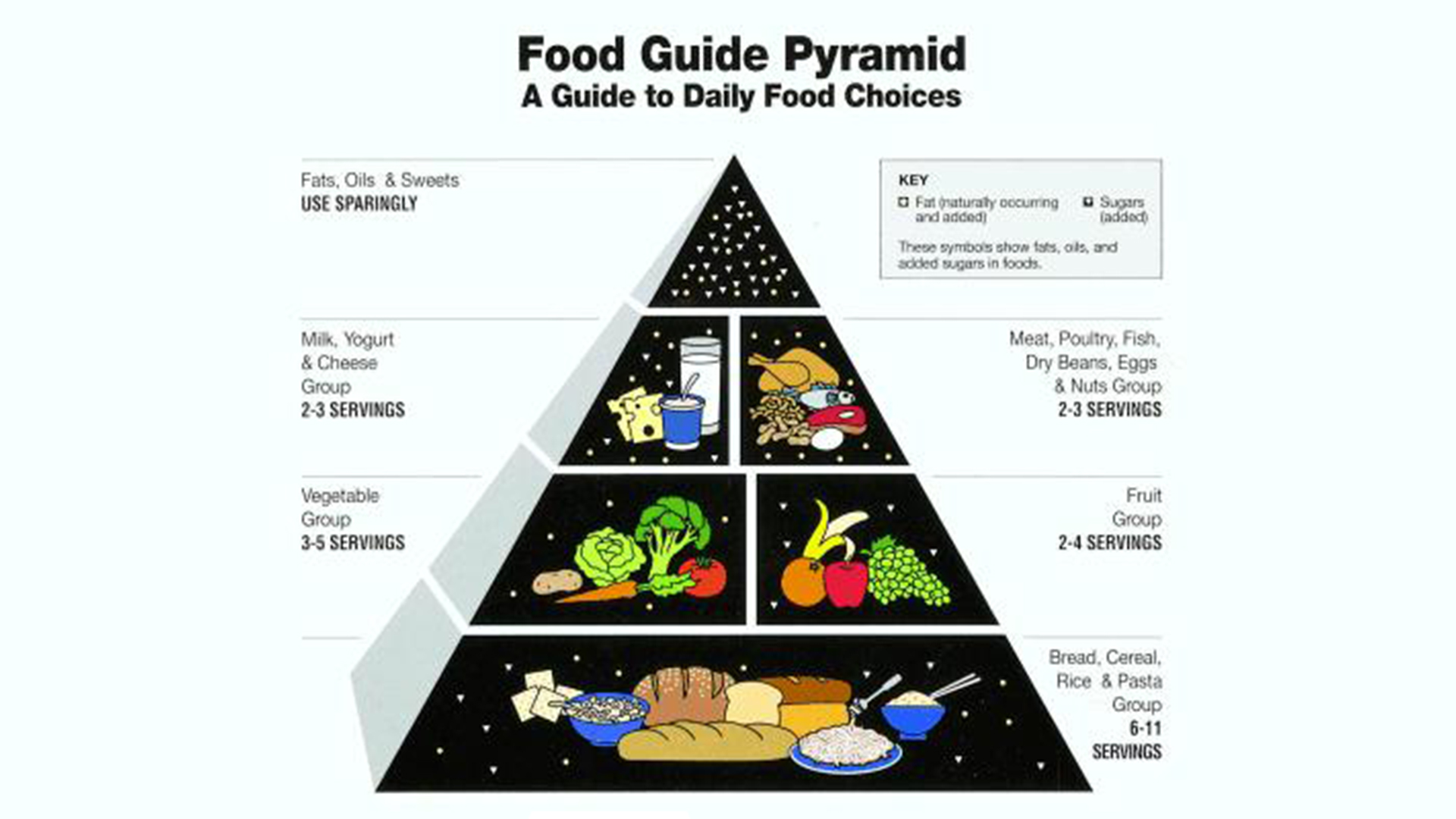  USDA Human Nutrition Information Service created Food Guide Pyramid (1991) 