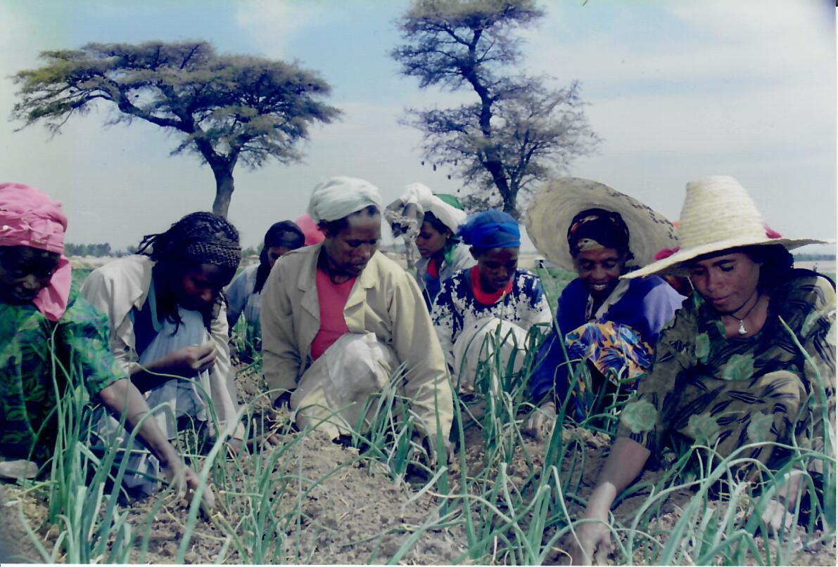  Ethiopia 1998 (Photo by Tom Haskell) 