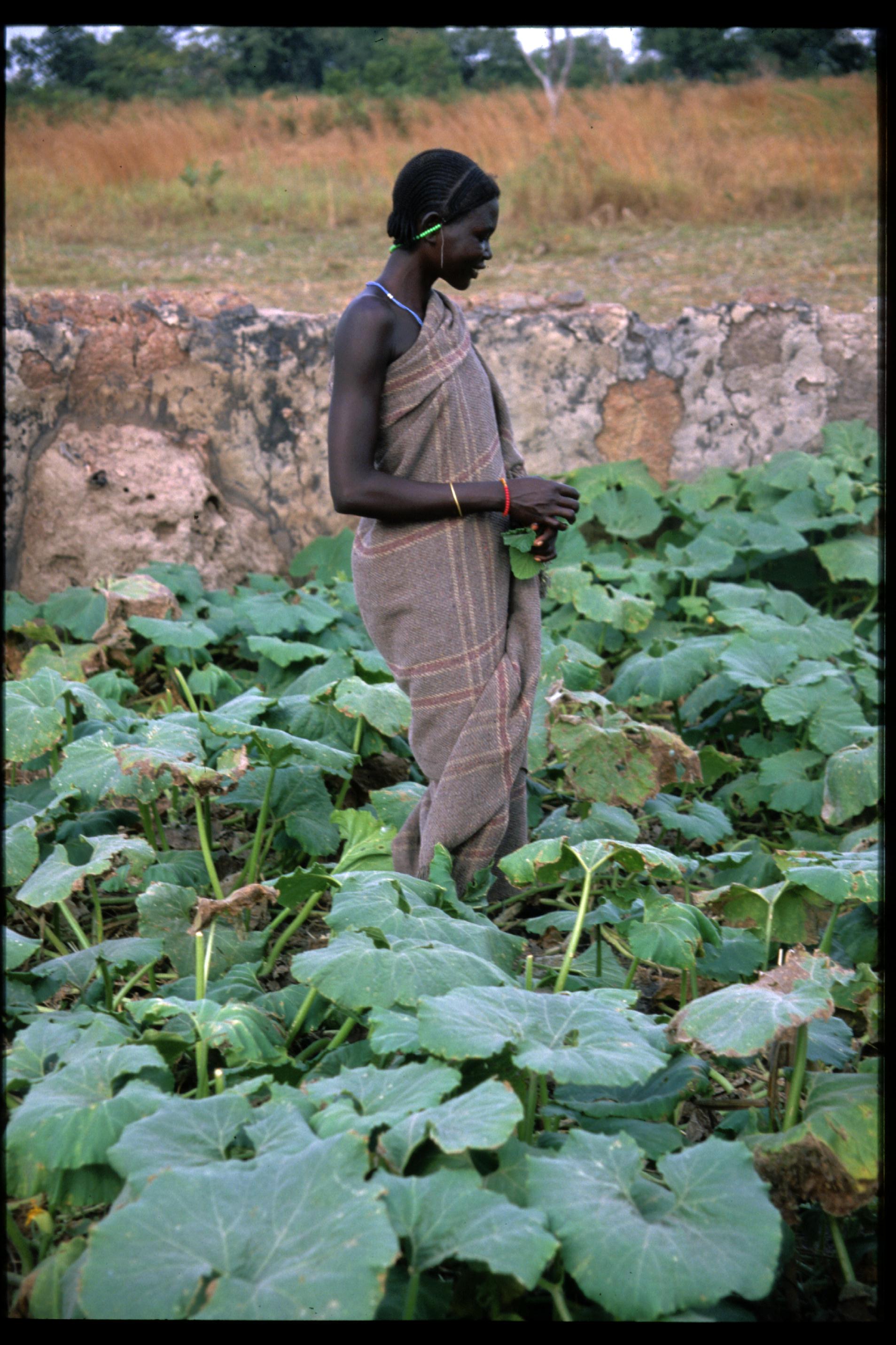  Sudan 1996 (Photo by Tom Haskell) 