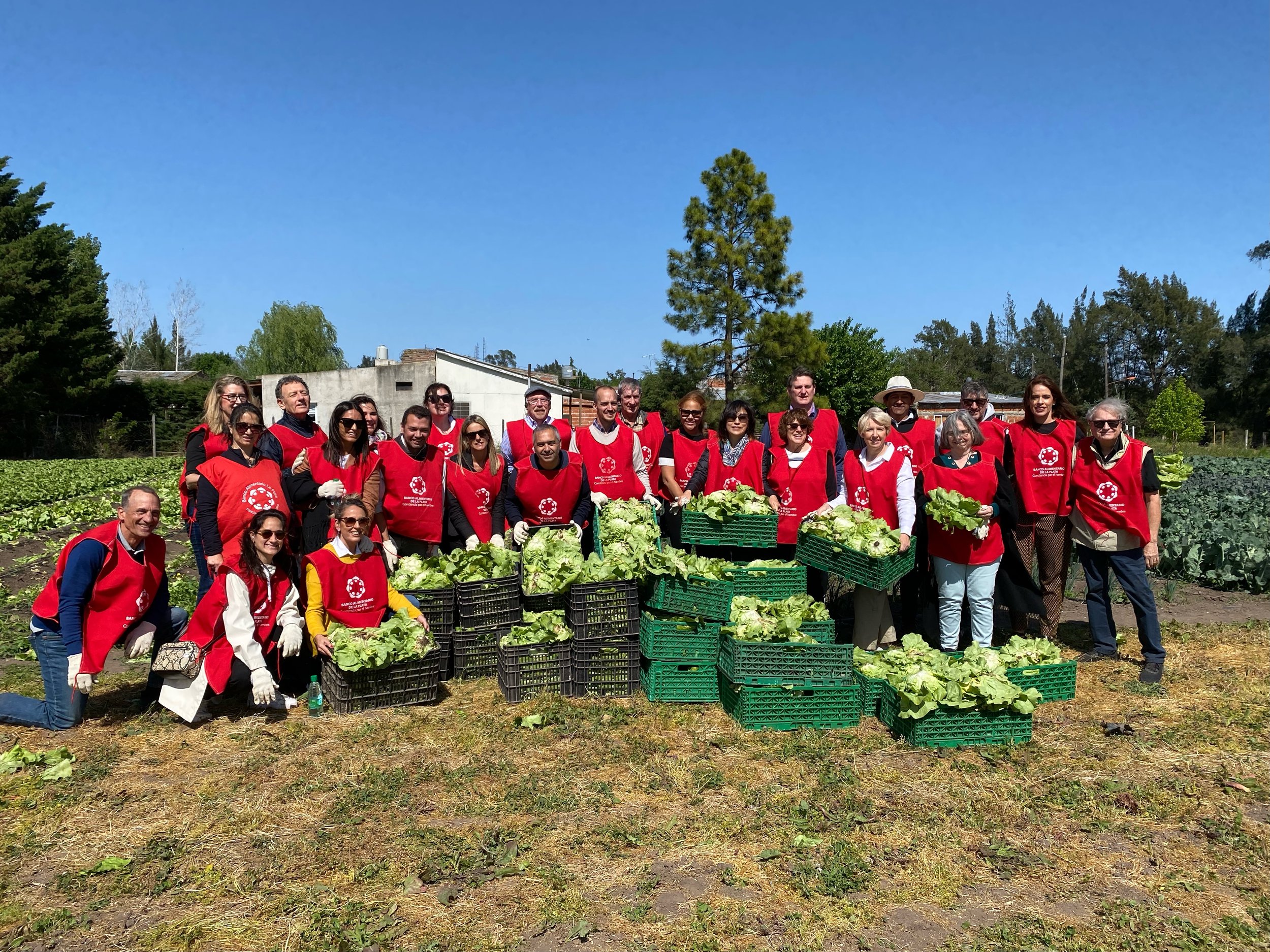  Global Food Banking Network visit to Lettuce Farmer in Argentina (2022) 