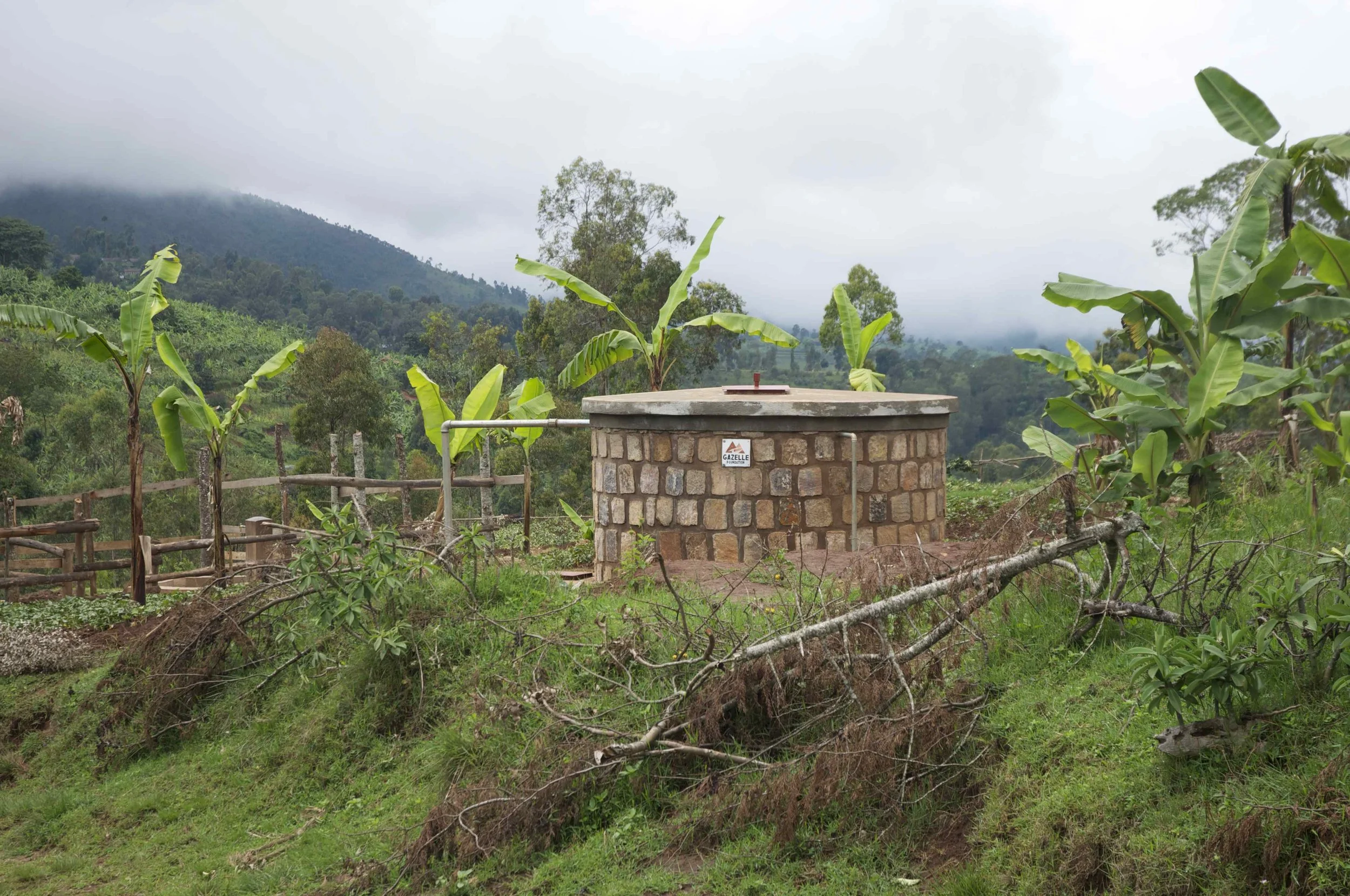 World Water Day: From Then to Now, Clean Water Is Changing Everything