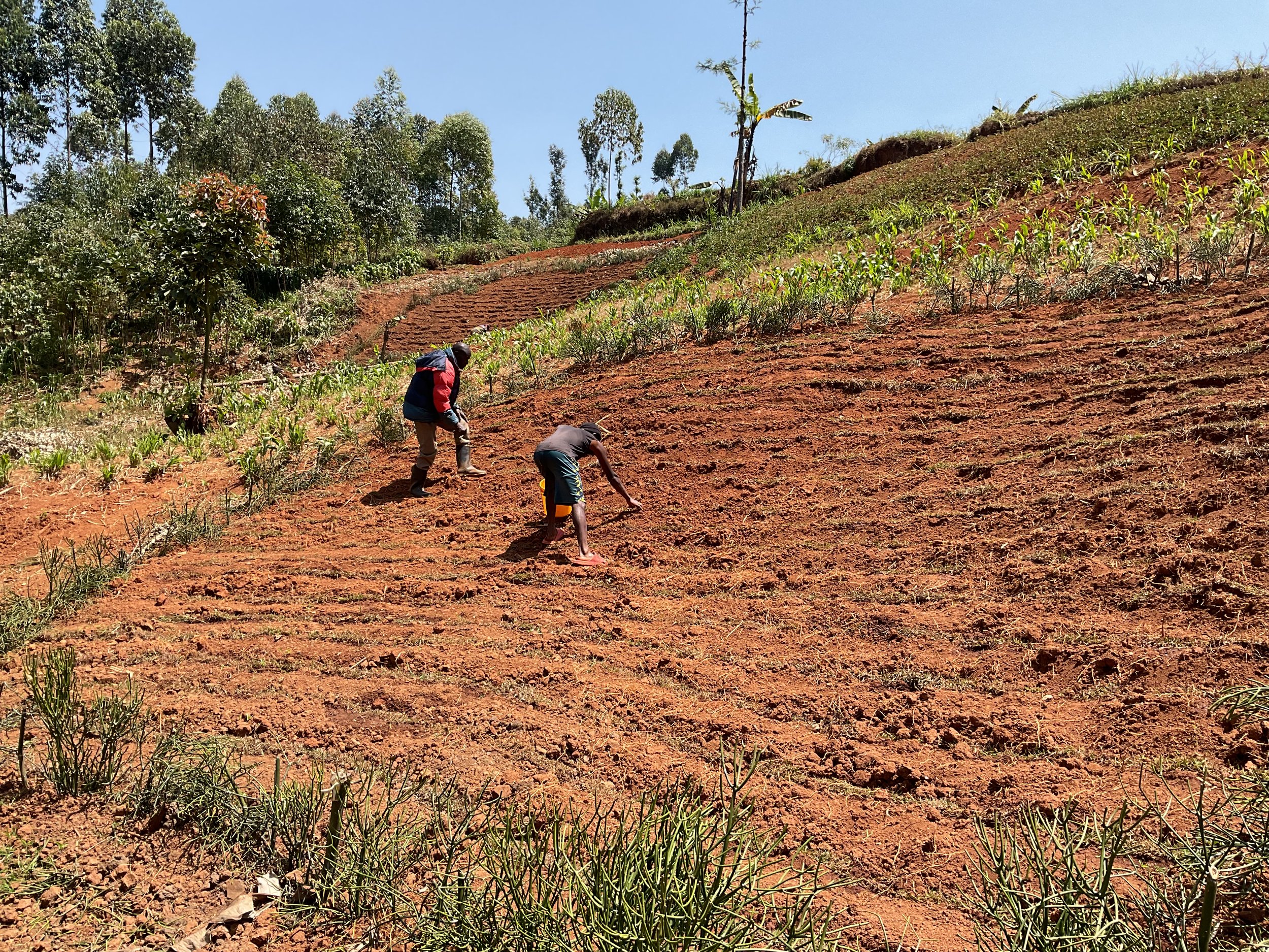 Sources catchment area.JPG
