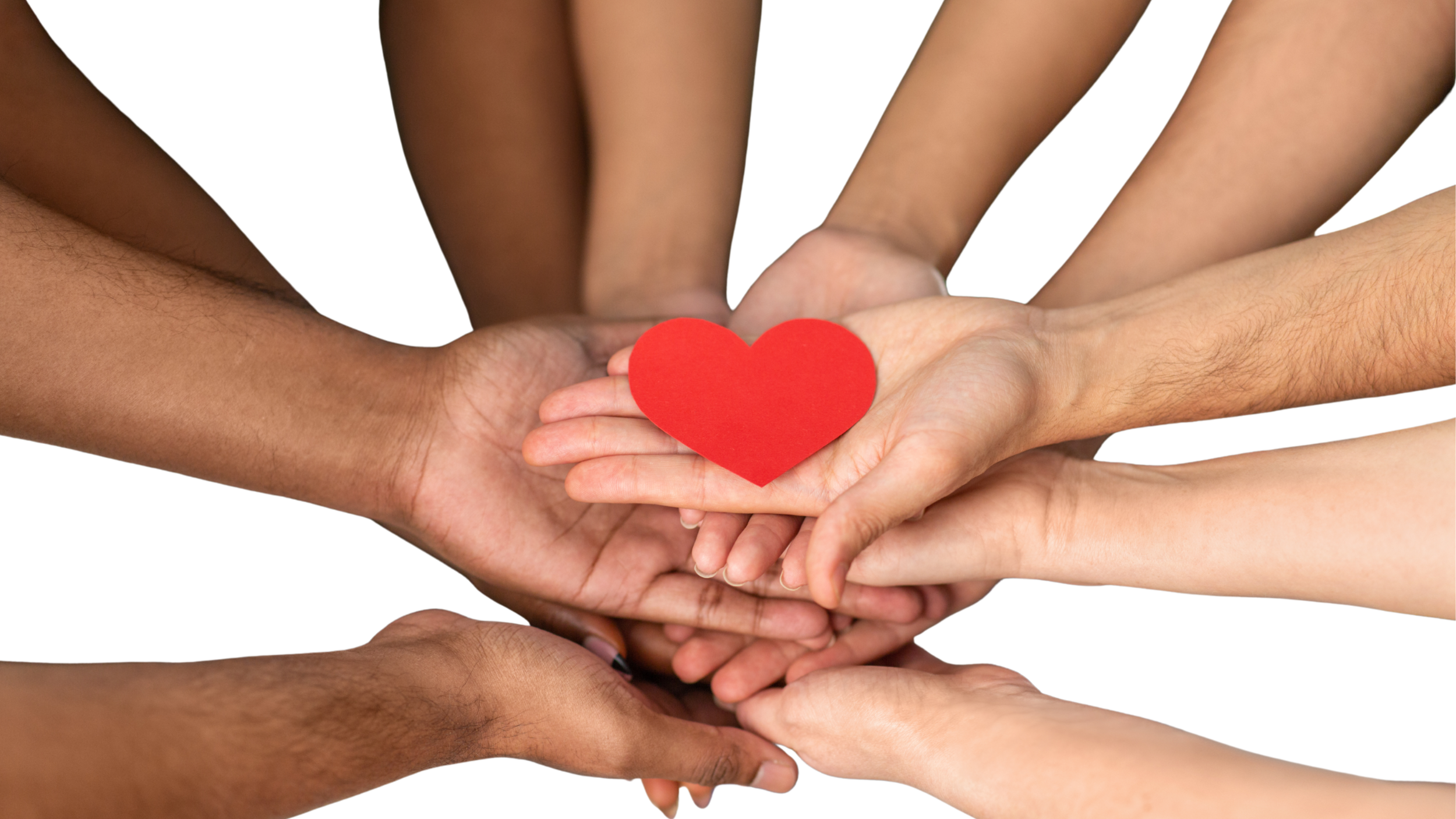 4 Inspiring Stories: Transforming Communities, Strengthening Safety Nets