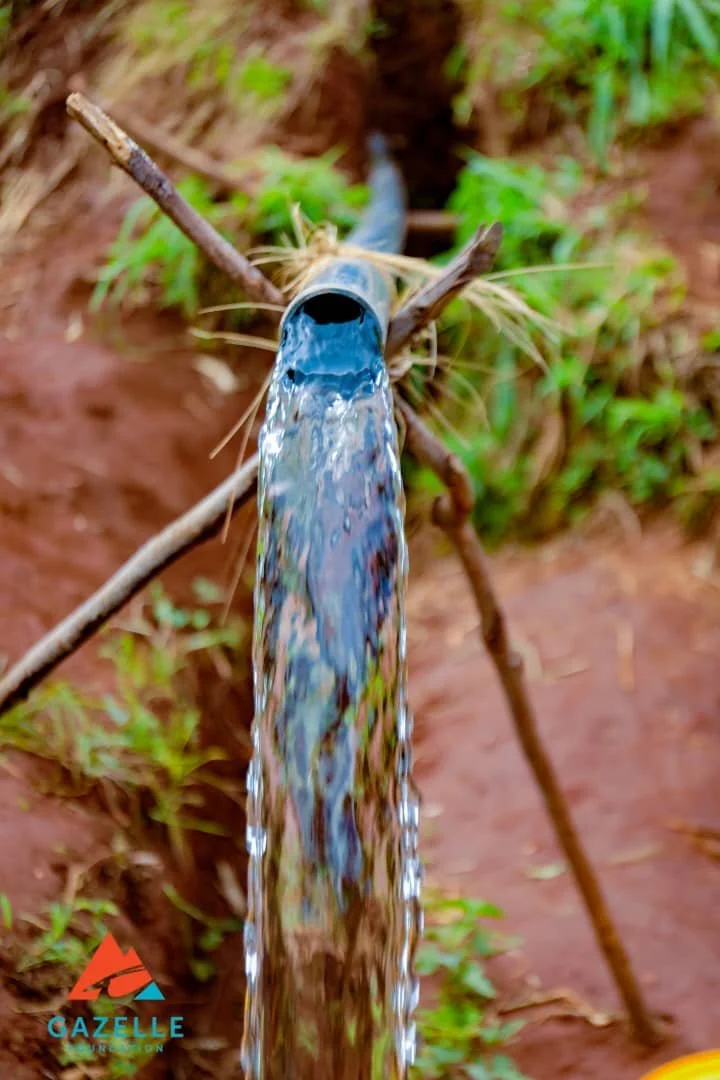 This is What Progress Looks Like