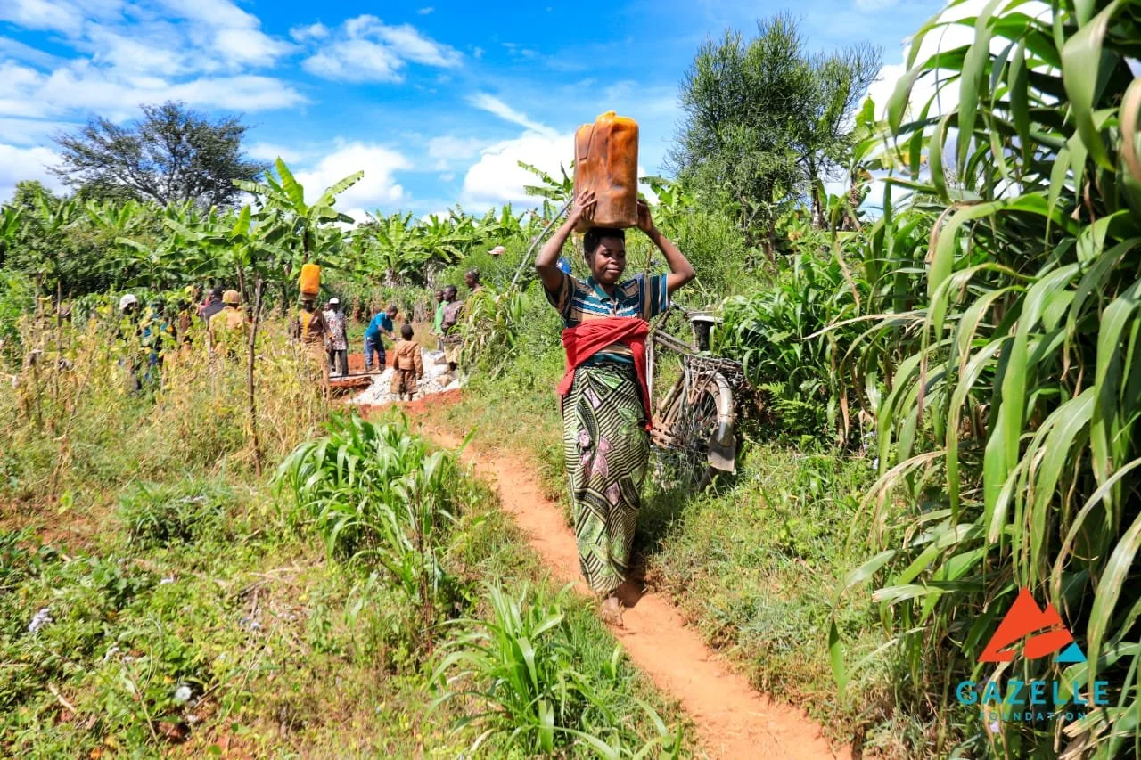 Framed by crops of banana and corn a Burundian woman carries clean water home.