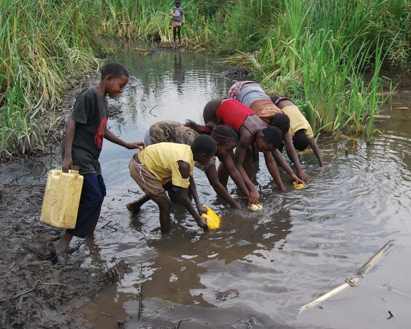 Learn How You Can Help Bring Transformative Change To Burundi — Gazelle ...