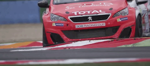 FFSA GT - GT4 France to gif*.gif
