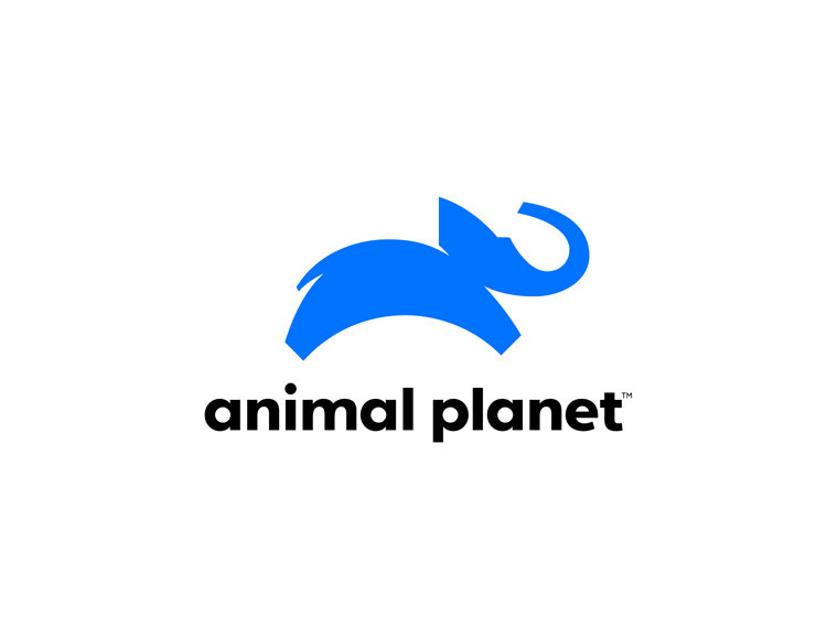 animal planet.jpg