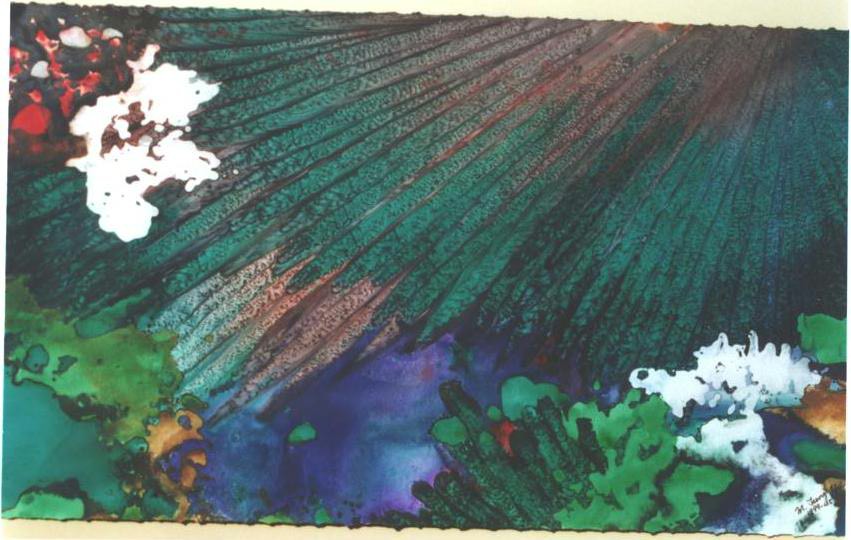 "Forest Rays II", Forest Cloud, Rain, Snow and Wind Series.