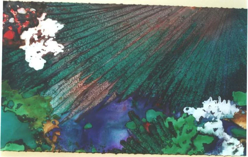 "Forest Rays II", Forest Cloud, Rain, Snow and Wind Series.