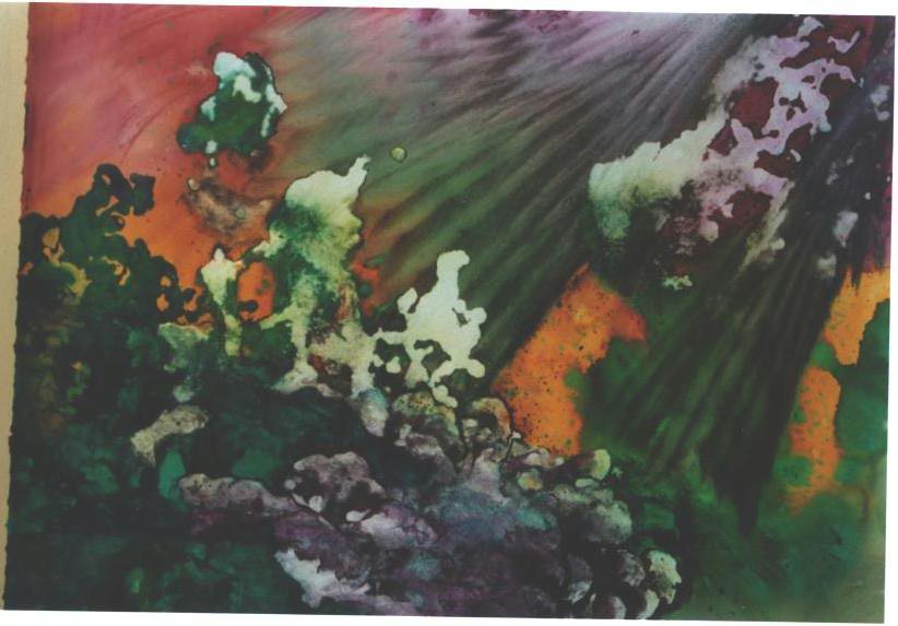 "Forest Rays III", Forest Cloud, Rain, Snow and Wind Series.