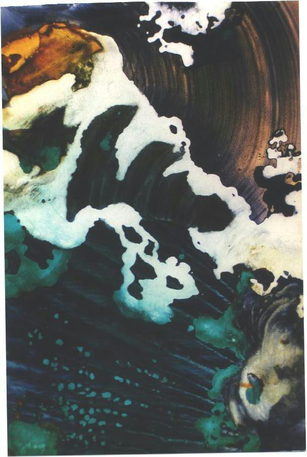 "Forest Wind I", Forest Cloud, Rain, Snow and Wind Series.