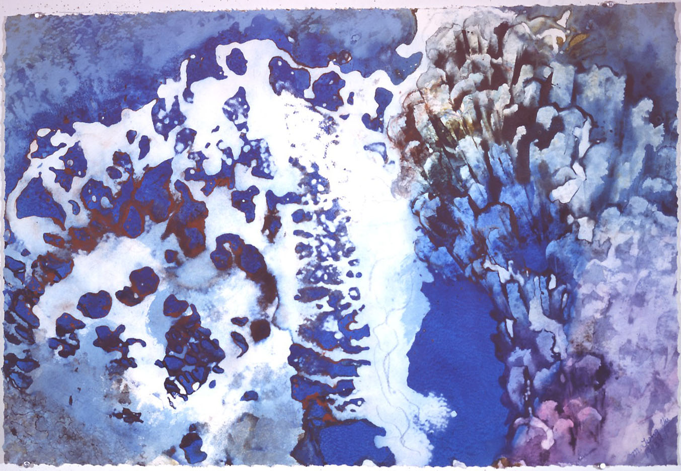  "Deep Sea Garden", 1993, Deep Sea Garden Series, acrylic on paper, 28 x 38 in (71 x 91 cm). 