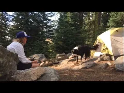 At your service (Copy)