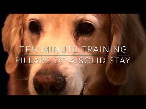 Ten minute Training - Pillars of a solid stay! (Copy)