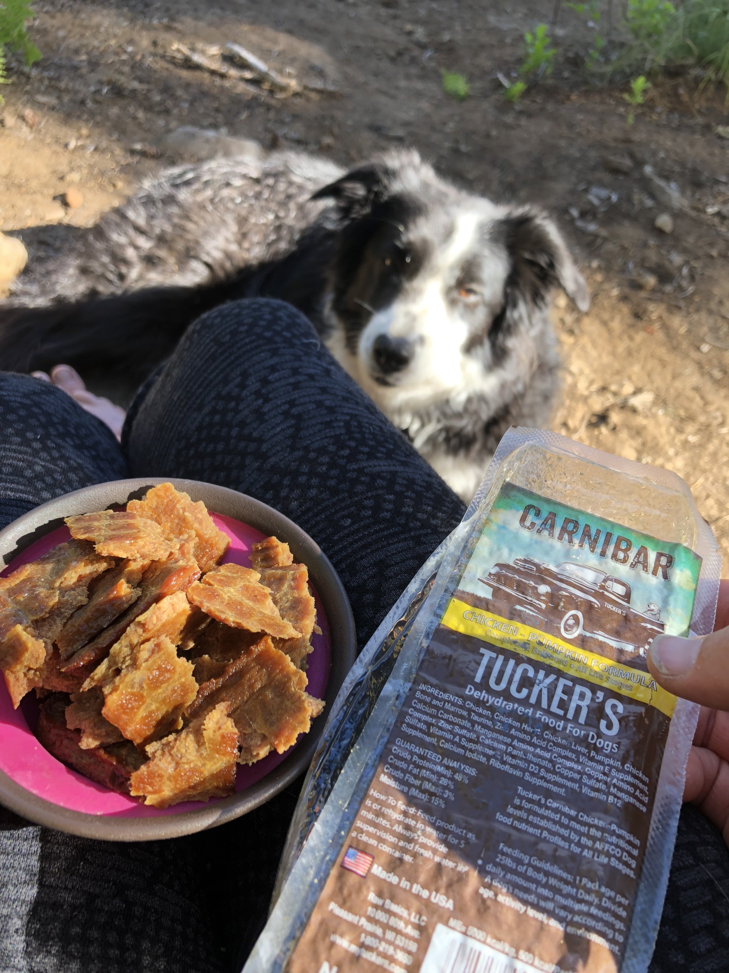  She always looks forward to her meals! And I appreciate how easy to feed they are. 