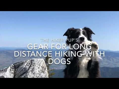 Long Distance Hiking with Dogs Gear Set up (Copy)