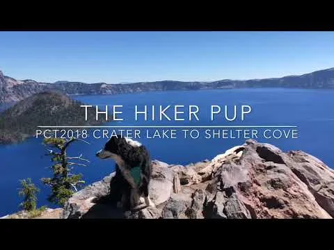 The Hiker Pup: the 200 mile mark (Copy)