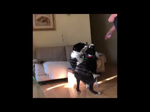 Box Games with Nick (Copy)