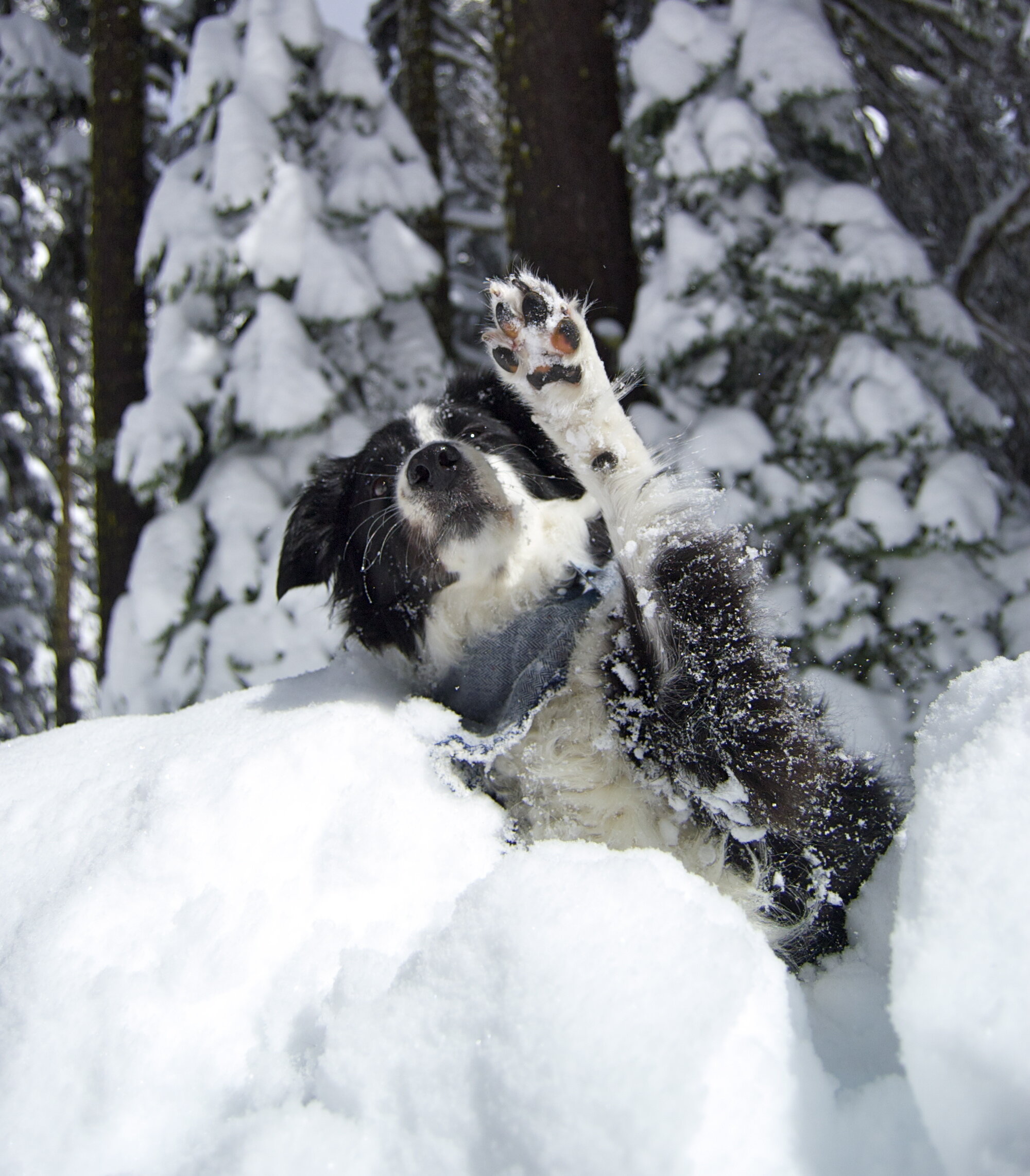 Welcome to the Academy!