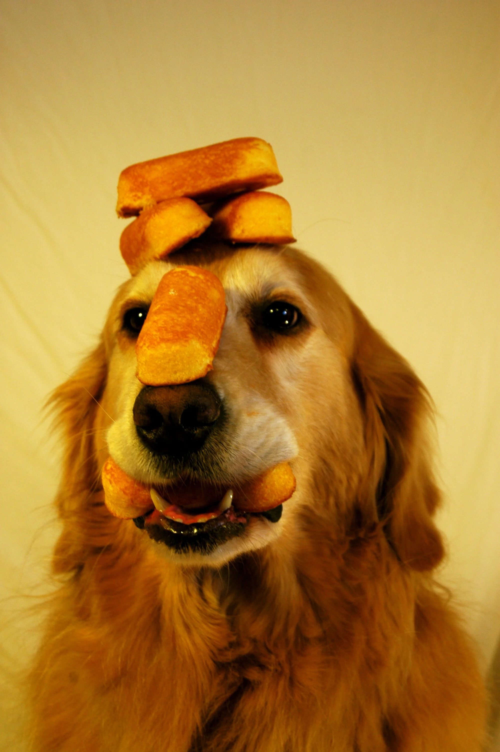 Scheduling announcements 