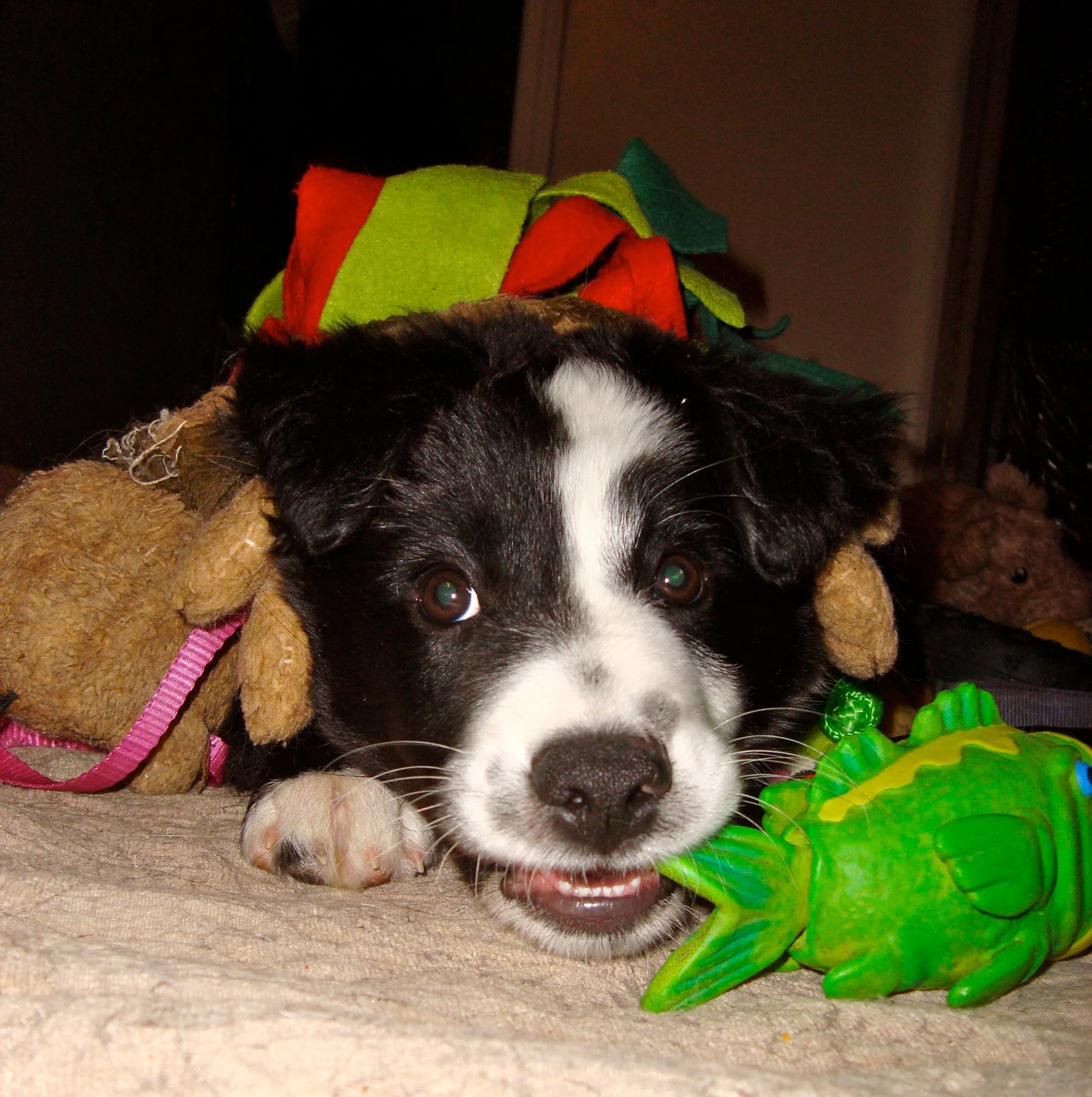 All work and no play, no way!