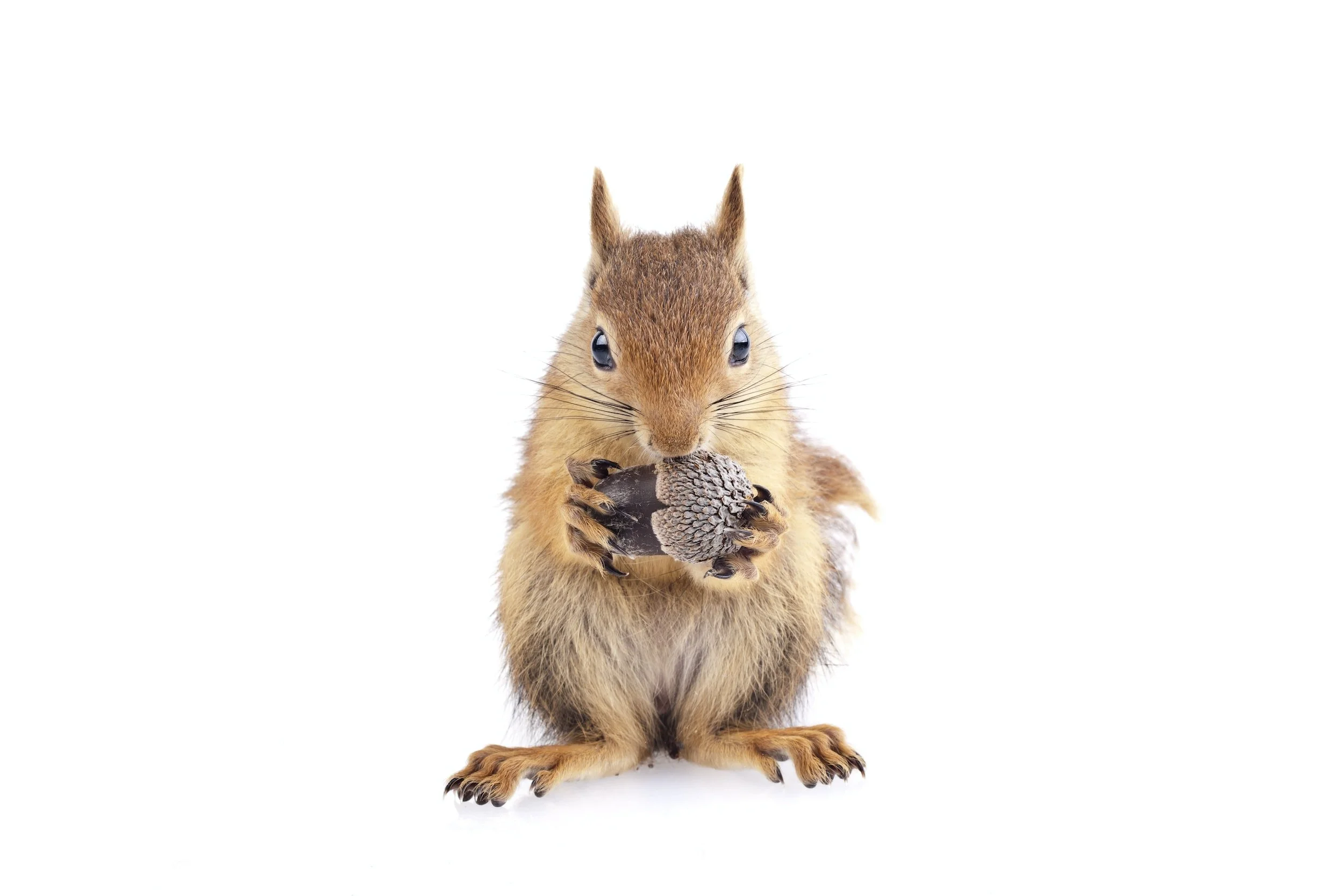 First Homework Assignment 