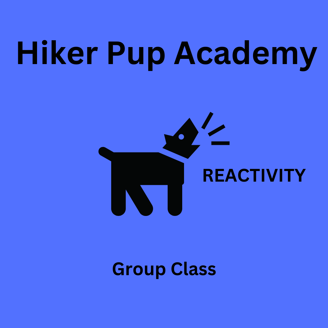 Reactivity Support Group