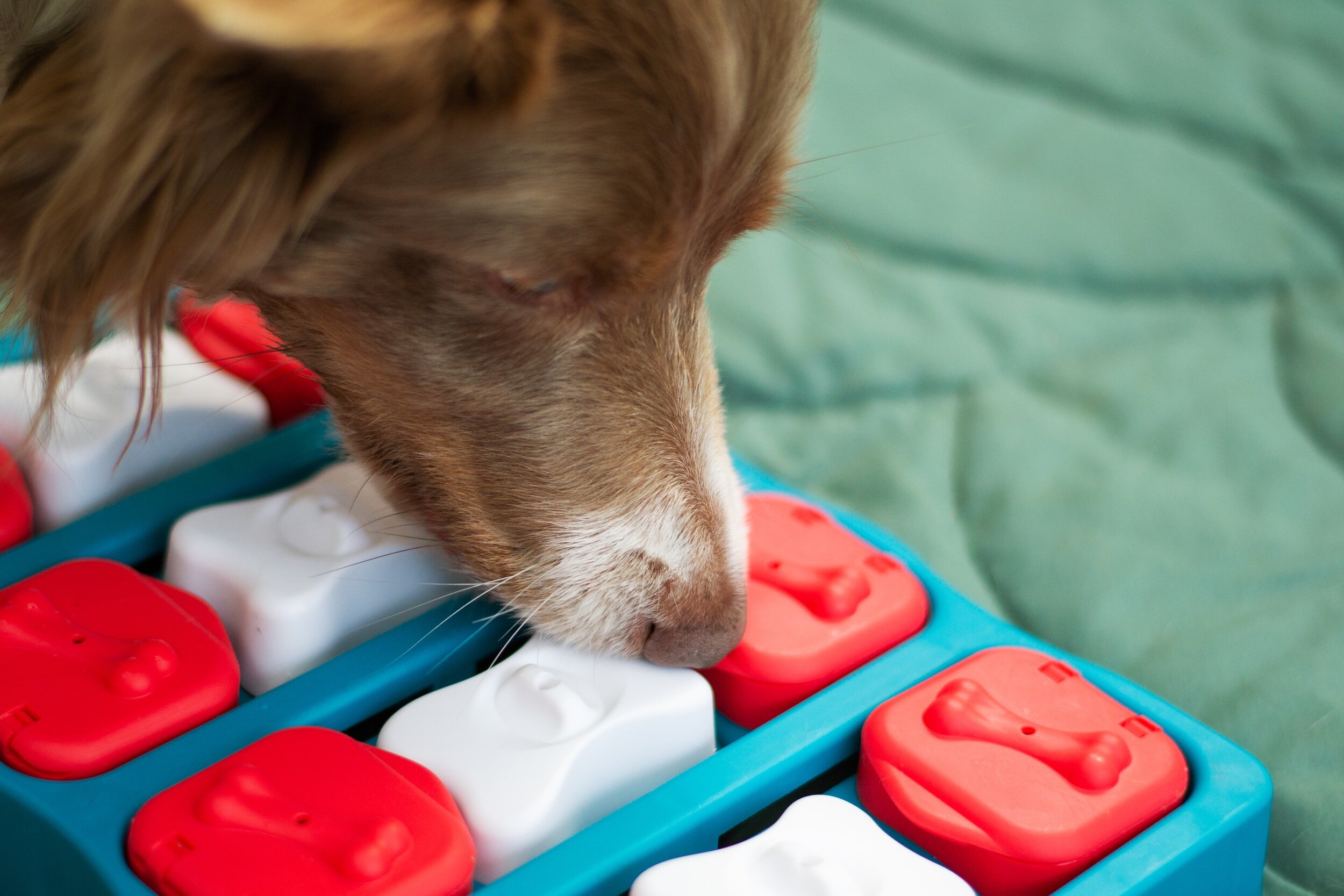 Indoor Fun & Games