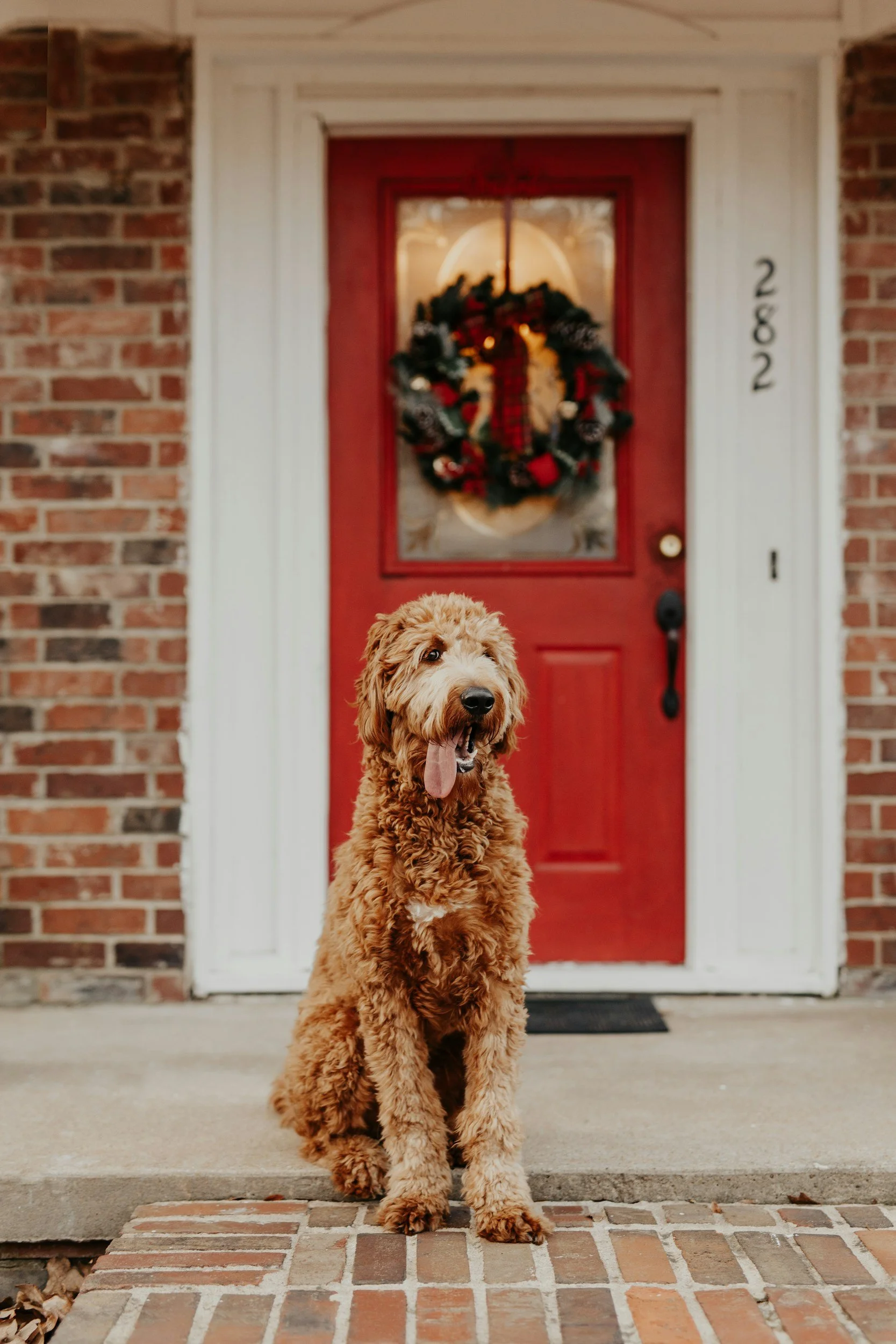 Home for the holidays part 3 Tips &amp; Strategies 