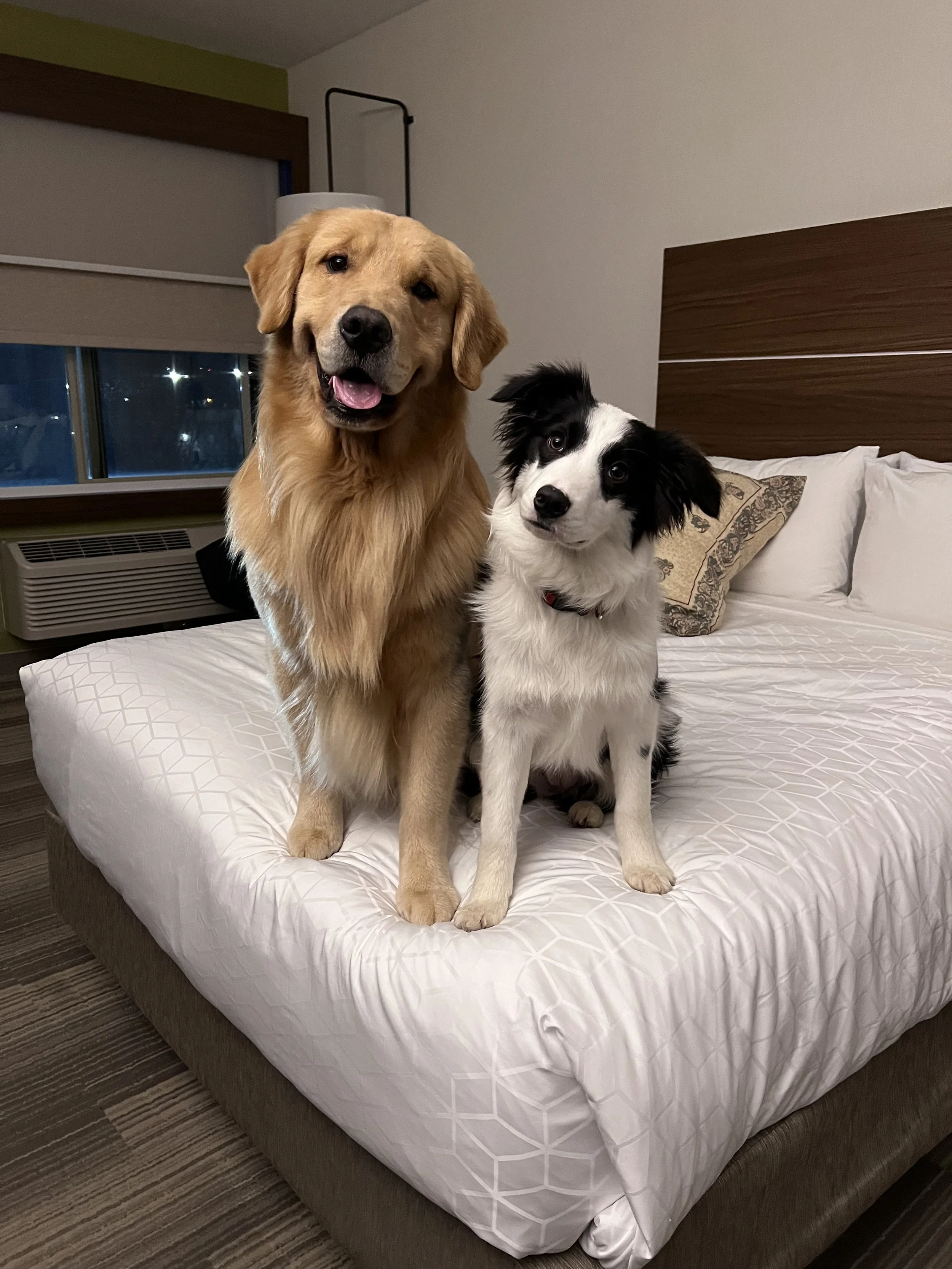 Julia goes on a trip!