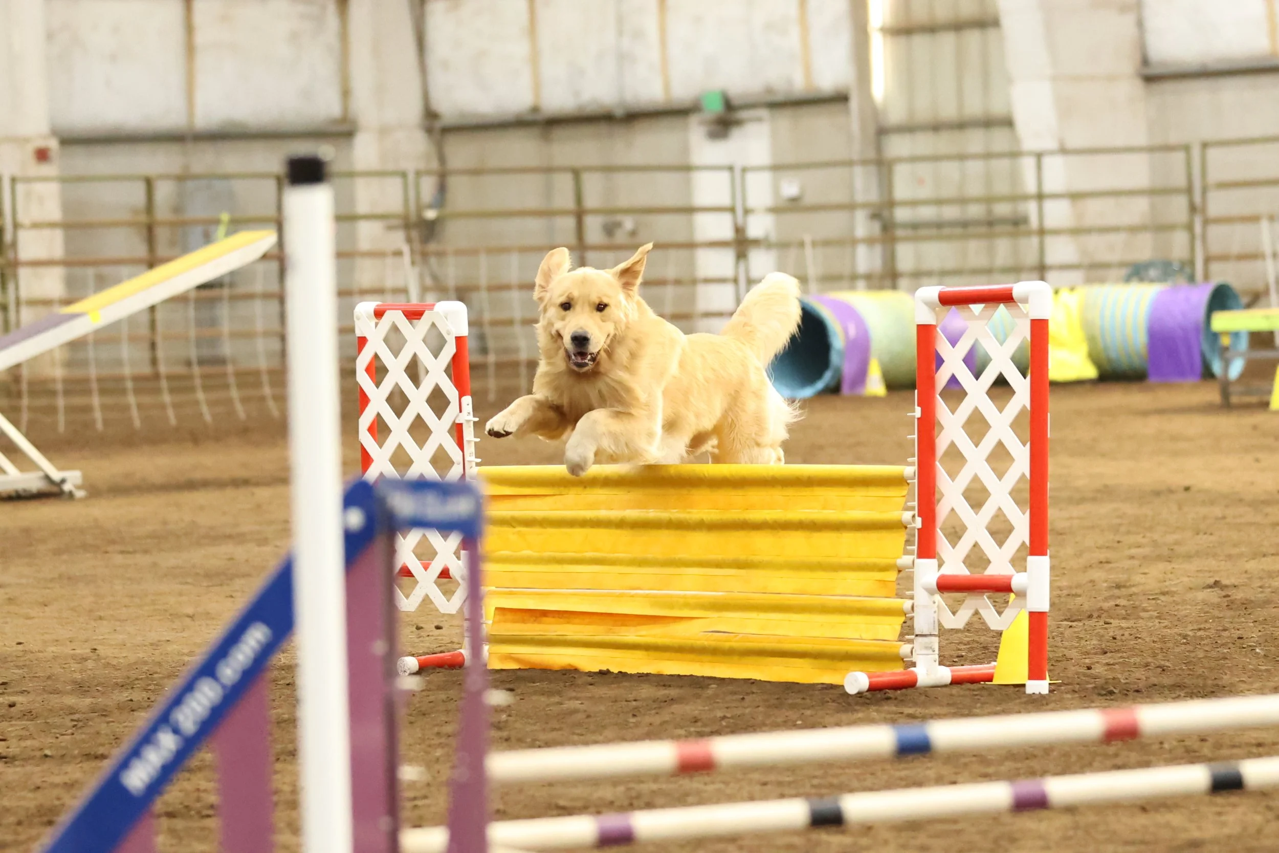 As Promised Agility Resources